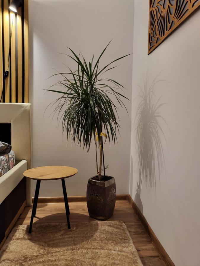 Art House Apartment Floresti  Luaran gambar