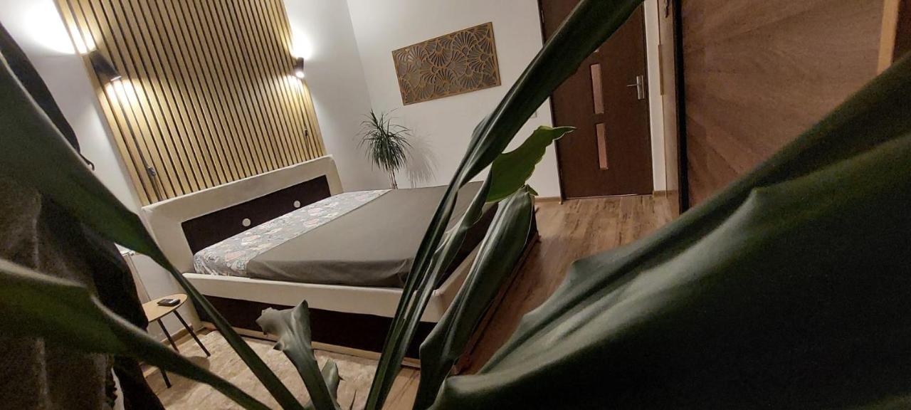 Art House Apartment Floresti  Luaran gambar